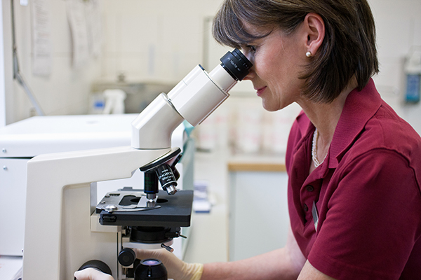 Microscop_600